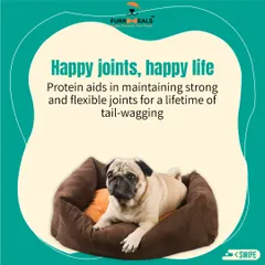 This series breaks down the many roles of protein. It fuels fun and adventures, builds strong muscles, boosts the immune system, supports happy joints, and contributes to a shiny skin and coat.