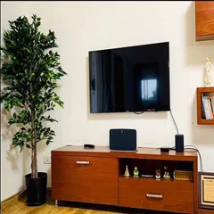 A tall, realistic artificial ficus tree placed next to a media console. It's a simple way to add height and greenery to a living room without worrying about sunlight.