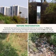 This is the Behrampur Bundh before restoration, choked with waste and erosion. Today, this 800-meter stretch is a thriving habitat with urban trails that connect people back to nature.