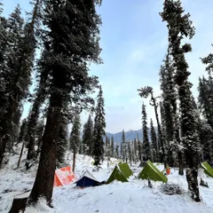 A closer look at our colorful tents pitched in the snow. Waking up to this view is an experience in itself.