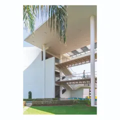 A detail of the interconnected circulation at the Ajax campus, where open-air walkways and staircases create a dynamic and transparent environment, encouraging movement and interaction between different departments.