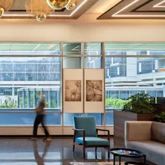 The reception and waiting lounge at the APT office creates a professional yet welcoming first impression. We used a mix of comfortable seating, natural materials, and statement lighting to craft a space that reflects the company's culture.