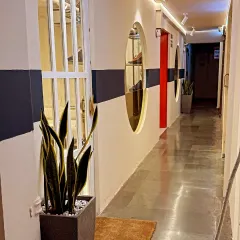 A sleek Sansevieria, or snake plant, in a modern grey planter is an ideal choice for this office hallway. It's a low-maintenance plant that thrives in various light conditions, making it perfect for busy commercial spaces.
