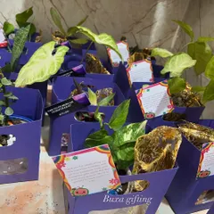My lavender-themed sustainable and budget-friendly hampers. Starting at just ₹250, these boxes include a ceramic hexagon planter and a potli of premium dry fruits, making them perfect for bulk orders.