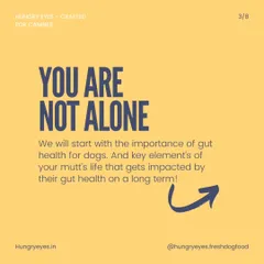 If you're worried about your mutt's health, you are not alone. We're starting a conversation about the long-term impact of gut health.
