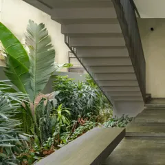 We believe in integrating nature within the home. This internal courtyard and staircase show how we use voids and greenery to bring natural light and life deep into the building's core, creating a tranquil atmosphere.