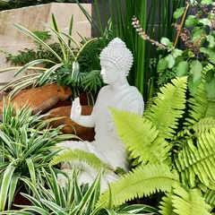 A close-up of the Buddha statue nestled among ferns and spider plants on the terrace. These small details are what make a garden feel alive and personal.