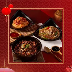 A spread of bold Schezwan cuisine, featuring various noodle dishes with rich, spicy sauces, showcasing our ability to deliver authentic and fiery Asian flavors.