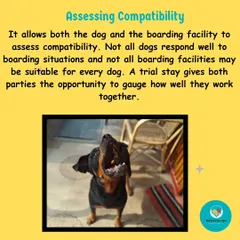 A trial stay is crucial for assessing compatibility. Not all dogs are suited for an open, social boarding environment, and this gives us a chance to see if my facility is the right fit for your dog's temperament.