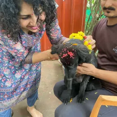 We believe in celebrating our furry friends as true family members. Here, we're performing a special Diwali puja for one of our guests, complete with a flower garland and a gentle tikka blessing. It's these moments of shared love and culture that make Petspace a real home.