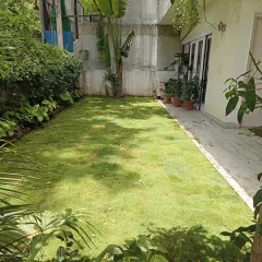This is the kind of result I aim for. A lush, healthy, and evenly green lawn that completely transforms a home's backyard into a beautiful, relaxing space.
