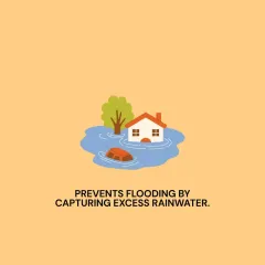 An illustration explaining how our Bhungroo water management system prevents flooding by capturing excess rainwater.