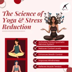 Yoga isn't just stretching; it's science. This visual explains how the practice activates your parasympathetic nervous system, reduces cortisol, and relieves muscle tension to combat stress at a physiological level.