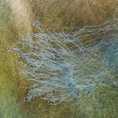 A top-down abstract view of Khadri Bet in the Rann of Kutch. The patterns are created by animals moving through the unique landscape near the Dholavira archaeological site.