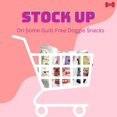 It's time to stock up on guilt-free doggie snacks! My bakery offers a wide range of healthy veg and non-veg options, from jerkies and biscuits to cakes and ice creams. All things healthy, all under one roof.