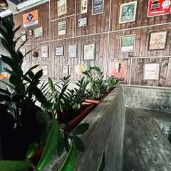 At this commercial project, we used low-maintenance ZZ plants in a built-in planter to complement the rustic, industrial aesthetic. The plants add a touch of green without overwhelming the space, fitting perfectly between the concrete seating and wood-paneled wall.