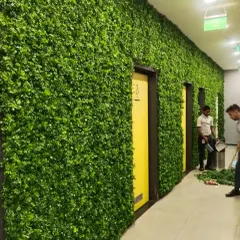 A recent project in an office corridor in Udyog Vihar, Gurgaon. Covering the walls with this simple, dense green foliage completely changed the feel of the hallway, making it more pleasant.