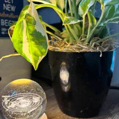 My universe may be small, but it shines the brightest. A quiet corner of my space with my plant and crystal orb, where I connect with cosmic energies to guide you.