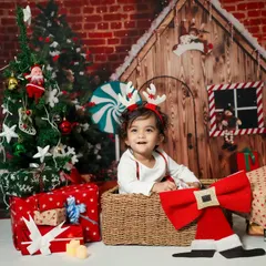 Sharing the Christmas love! This little reindeer is ready for Santa. My mini Christmas sessions are perfect for capturing holiday cheer.