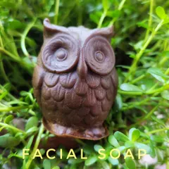 A cute owl-shaped facial soap. I believe skincare can be effective and fun. This one is made with Neem and Haldi to help with skin brightening.