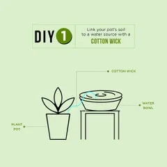 DIY watering hack 1: Link your pot's soil to a water source with a cotton wick. This simple setup provides a slow, steady supply of moisture.
