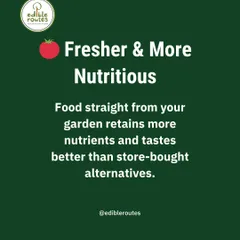Food picked straight from your garden is fresher and more nutritious. It retains more vitamins and minerals, and the taste is far superior to store-bought alternatives that have traveled long distances.