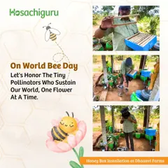 A co-farmer installing a honey box at Dhaanvi farms to attract pollinators and support biodiversity.