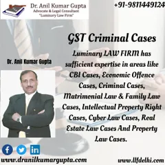 We have sufficient expertise in GST criminal cases and other economic offences. This graphic lists the broad areas of law our firm handles, demonstrating our comprehensive capabilities in criminal and financial law.