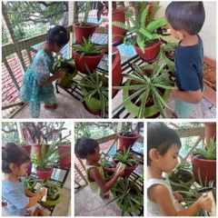 Children taking care of our plants. As part of our World Environment Day activities, and throughout the year, I teach them the importance of nurturing nature and caring for living things.