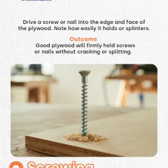 Good plywood should hold a screw firmly without splitting. This is one of the quality checks I ensure for all materials sourced for my in-house factory, guaranteeing the structural integrity of your furniture.