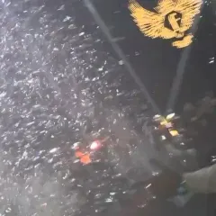 Confetti blast during the massive night with DJ Chetas at F Superclub. The energy was off the charts.