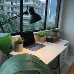 My studio setup, with my drawing table positioned by the window to get the best natural light. I keep my space organized and minimal to help me focus.