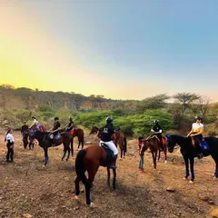 A wide shot of our horseback safari group navigating the diverse terrain of the Aravallis. The combination of open plains and hilly landscapes makes for an exciting and visually stunning ride.