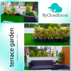 This collage highlights a spacious and modern terrace garden. The design uses clean lines, with dark wicker sofas set against bright green artificial grass and neatly arranged hedge-like plants in modern planters. It’s a sleek, stylish, and low-maintenance outdoor lounge.