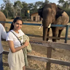Getting up close with the gentle giants at Dubare Elephant Camp in Coorg. It's a memorable experience for all our travelers.