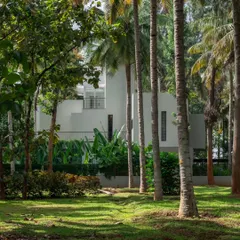 The white, minimalist form of the house stands in contrast to the organic shapes of the coconut palms. The design uses strategic openings and balconies to frame views of the lush surroundings from within.