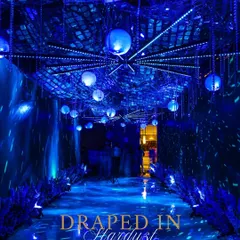 The entrance to this Sangeet was a tunnel draped in stardust. I used mirrored ceilings, hanging orbs, and dynamic blue lighting to create a futuristic and glamorous passageway that set the tone for a high-energy celebration.