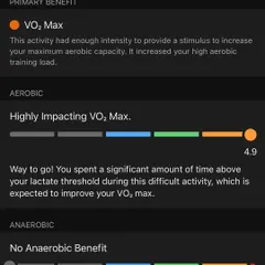 This screen shows a workout that was highly impacting to my VO2 Max. We target specific training zones to provide the right stimulus for increasing your maximum aerobic capacity.