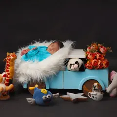 All aboard for a dreamy adventure. This newborn is tucked into a fluffy blue truck prop, surrounded by a delightful audience of stuffed safari animals.