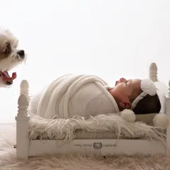 Yes, I absolutely photograph with pets. It can be chaotic, but capturing the bond between a newborn and a furry family member is always worth it. This high-key portrait of a baby and their watchful dog is a perfect example of the unique, heartwarming moments we can create.