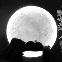 For a touch of celestial magic, we created this unique moon backdrop. This artistic black and white silhouette shot is a powerful and creative way to portray the wonder of pregnancy, making for a truly unforgettable image.