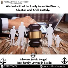 I deal with all family issues, including divorce, adoption, and child custody. This image, showing family figures around a gavel, represents my commitment to resolving these sensitive legal matters.