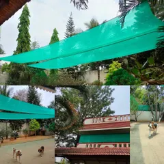 We are summer ready! The new shade sails provide cool relief in our play yards, ensuring the dogs can play comfortably even on hot days.