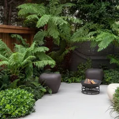 To create a private, tropical paradise feel, we used lush tree ferns and dense foliage to enclose this patio. The space is furnished with contemporary seating and a portable fire pit, making it a perfect urban escape.