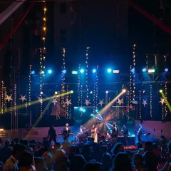 A view of our full 7-piece band on a professionally lit stage, performing for a packed house. We handle events of all sizes, ensuring the production quality is always top-notch.