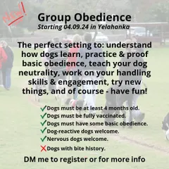 Here are the details for my Group Obedience course. It's a great setting to understand how dogs learn, practice basic commands, and teach your dog neutrality. We welcome dog-reactive and nervous dogs, but for safety, we cannot accept dogs with a bite history in a group setting.