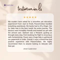 "We barely had to lift a finger." This glowing testimonial from Whiskey's family details how our team handled everything from booking the flight to managing all the paperwork, providing a seamless and positive relocation experience.
