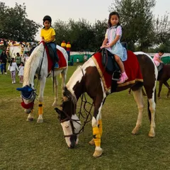 Gentle pony rides are a highlight of any children's party here. My trained handlers ensure a safe and enjoyable experience for every child.