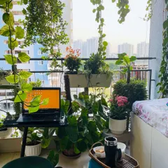 My balcony is my little paradise, my favorite spot for morning coffee and work. I can help you create a similar green oasis, no matter how small your space is. It’s all about choosing the right plants and arrangement to make it your personal retreat.