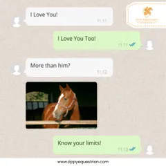 When your heart belongs to your horse, you know your limits! A funny chat that every true horse lover can relate to.